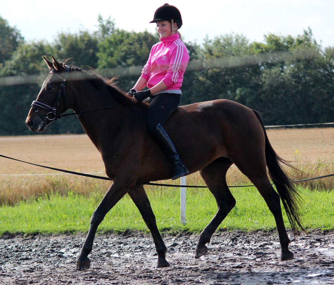 Anden særlig race Åbygårds Trisha - LD1 uden sadel til stævne i Happy Horse 3. plads.. :-) billede 14