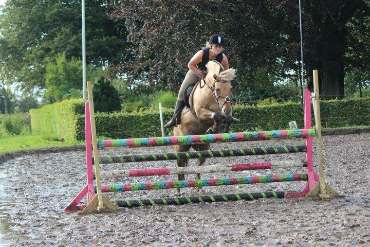 Fjordhest Beauty (solgt) - happy horse stævnet 2012 (80 cm) billede 18