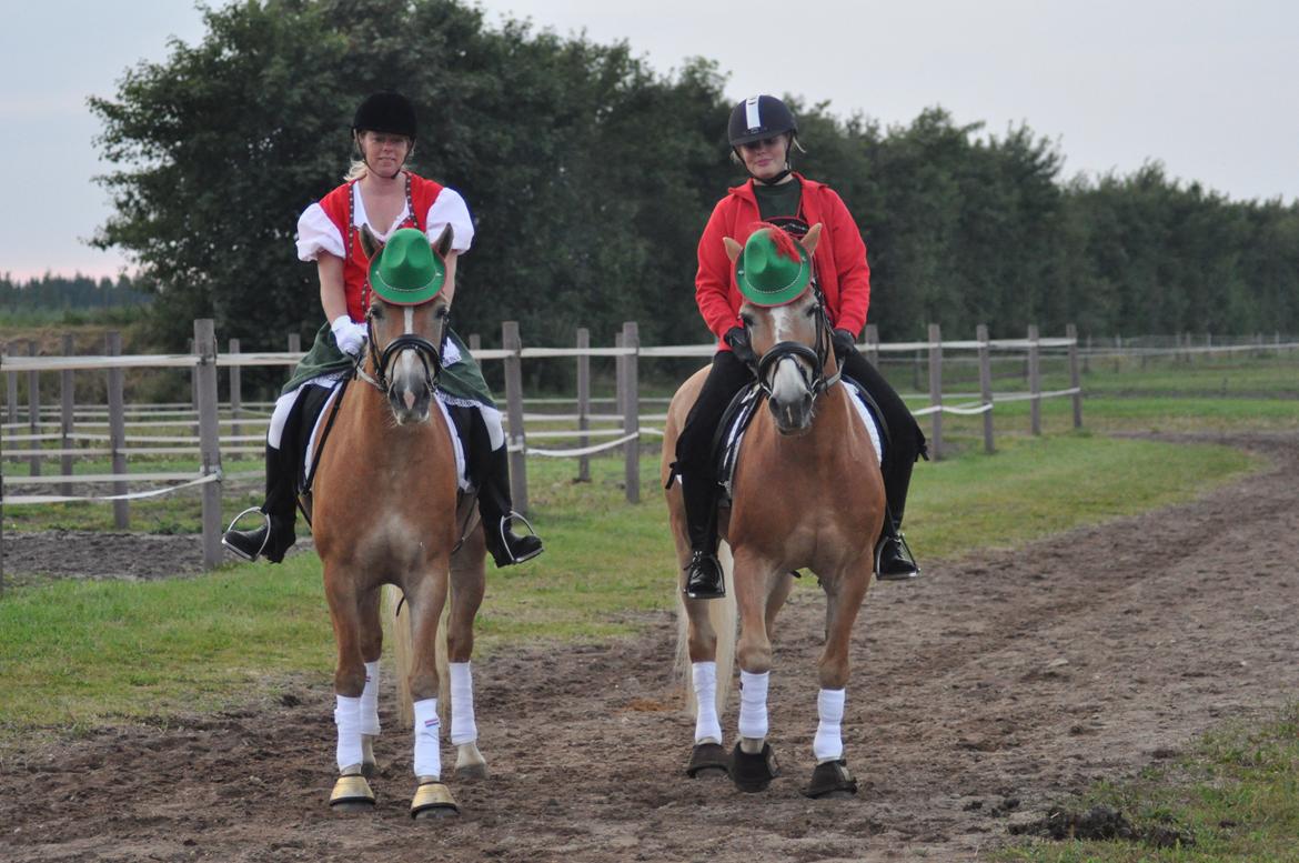 Haflinger My Fair Lady.SAVNET ;( - kvadrilje opvisning i billund, sammen med dorthe på whisky billede 11