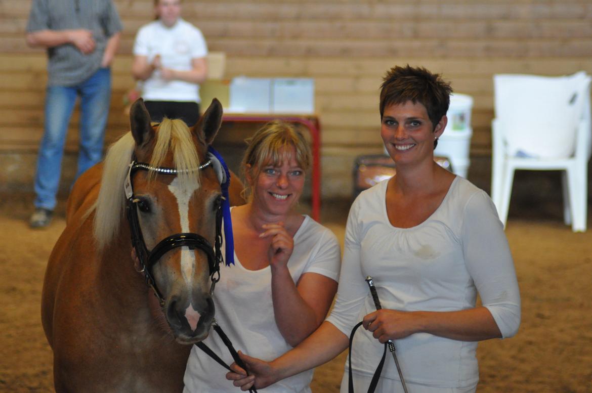 Haflinger My Fair Lady.SAVNET ;( - kåring i billund 25-8-2012. hun blev nr 2 ud af 6, såå stolt ;) billede 7