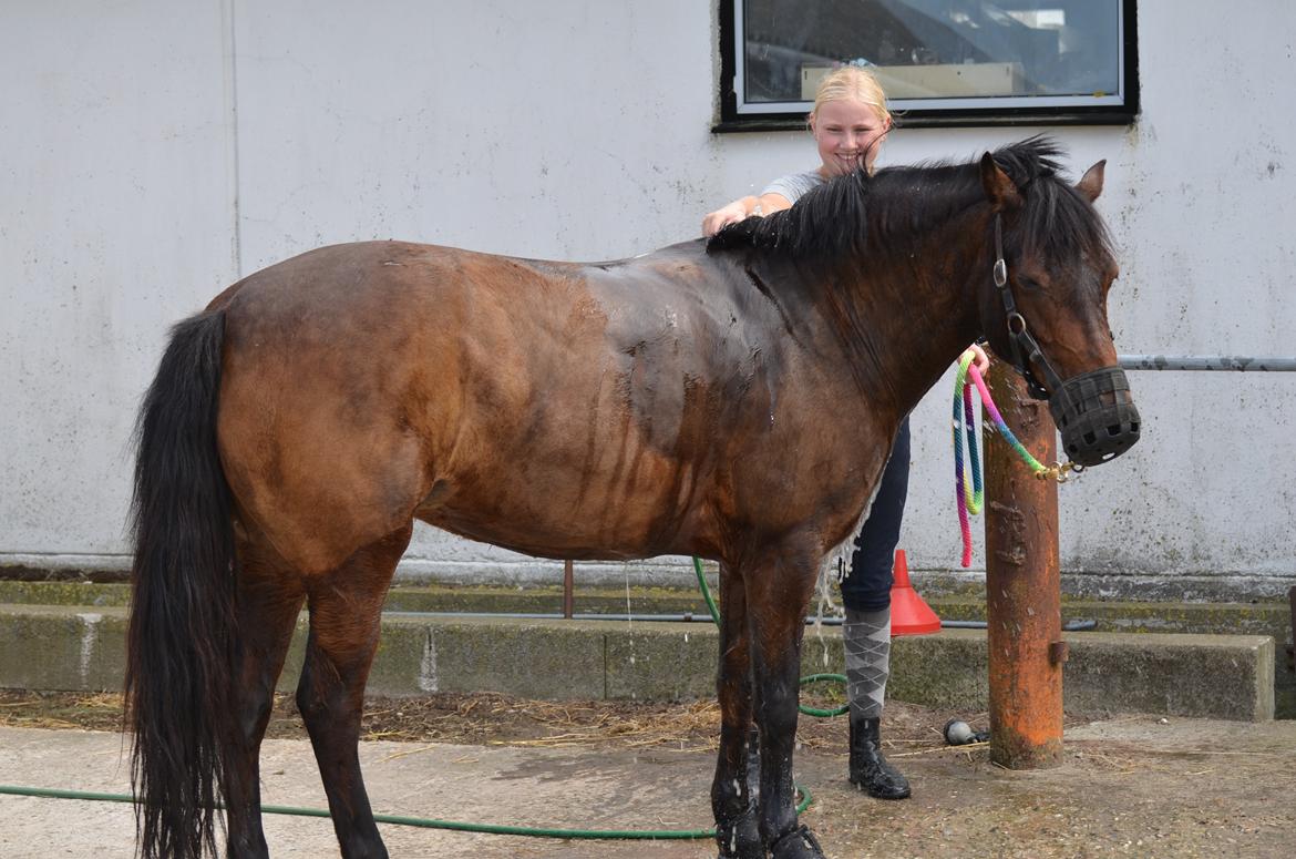 Anden særlig race Zoya - Vasker hende..
 billede 18