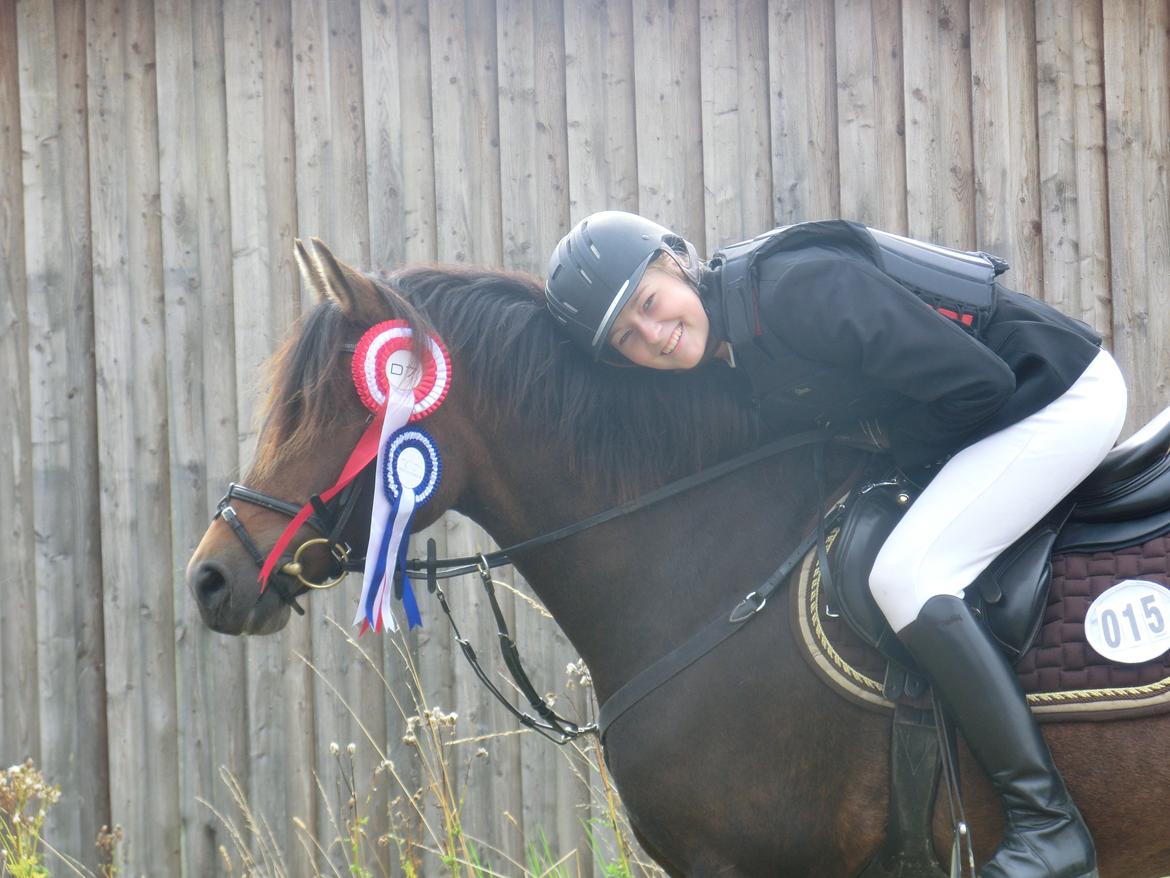 New Forest Glenwood Maple Hill - Maple og Jeg efter en vellykket stævnedag!
Maple startede sin første LC og fik en 2plads! anden LC og en 1plads og den eneste fejlfrie :D<3 billede 18