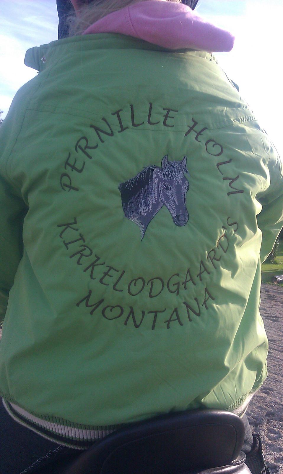 Welsh Pony (sec B) Kirkelodgaards Montana  billede 15