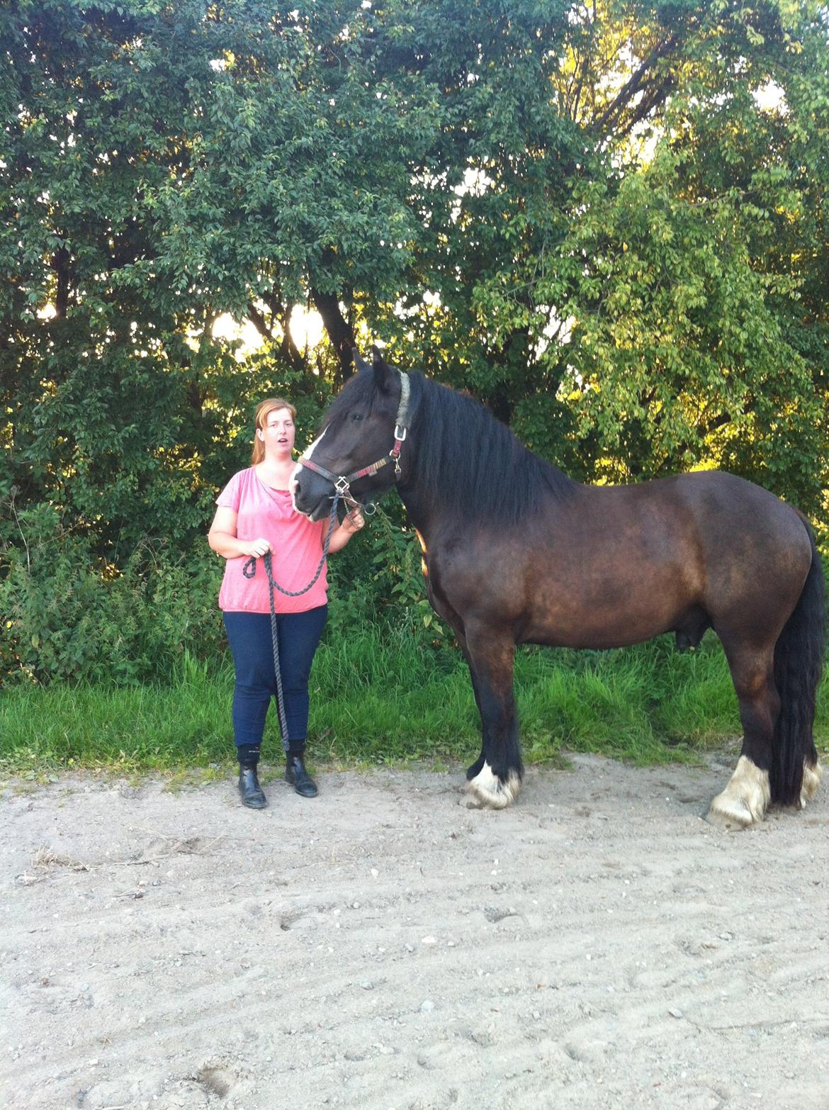 Anden særlig race Herkules - august 2012 billede 7