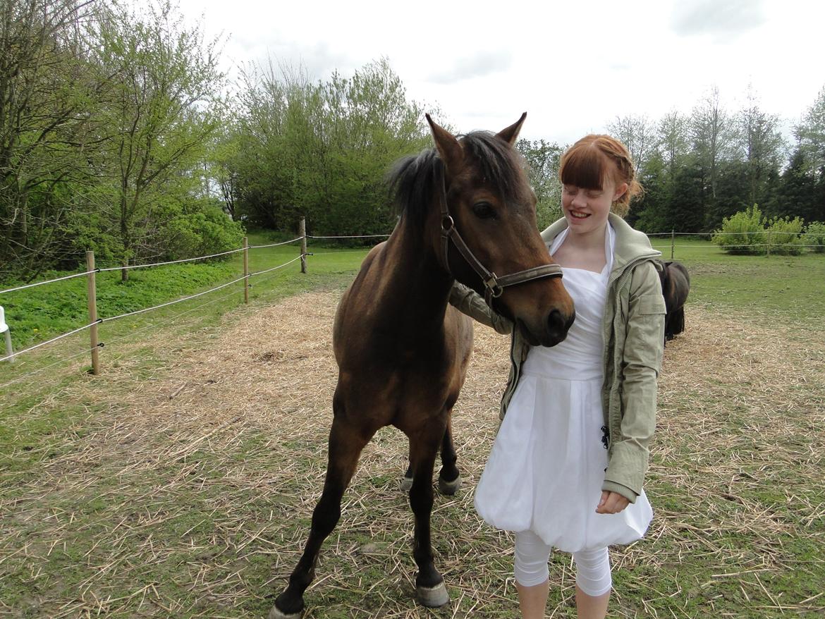 Anden særlig race Lukas Bathalomæus - 6 maj 2012 min konfirmation billede 8