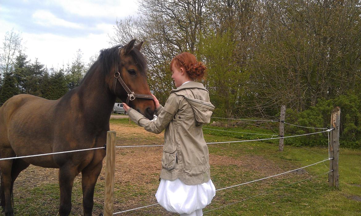 Anden særlig race Lukas Bathalomæus - 6 maj 2012 min konfirmation billede 1