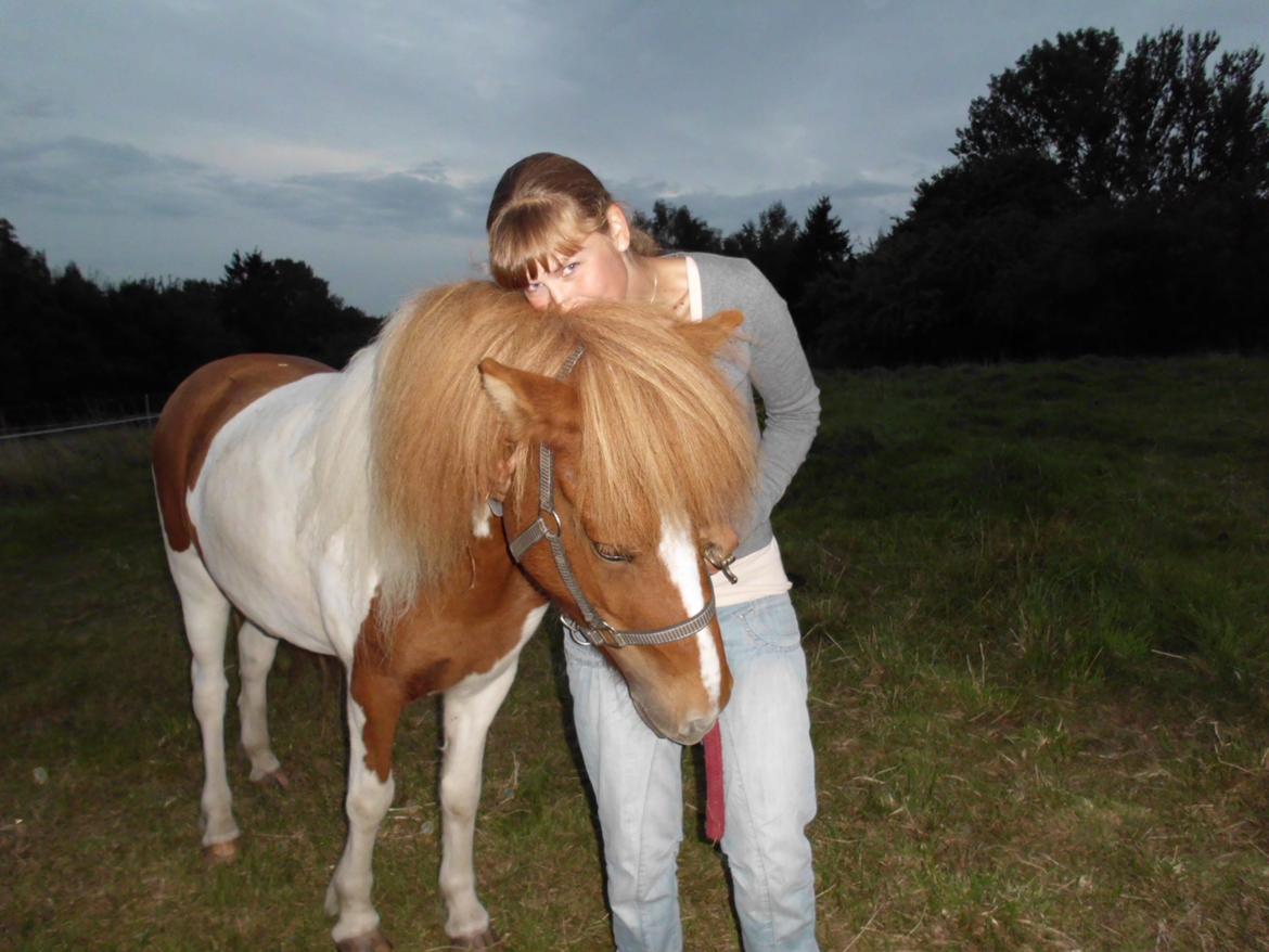 Islænder Depla fra såbyhøj billede 8