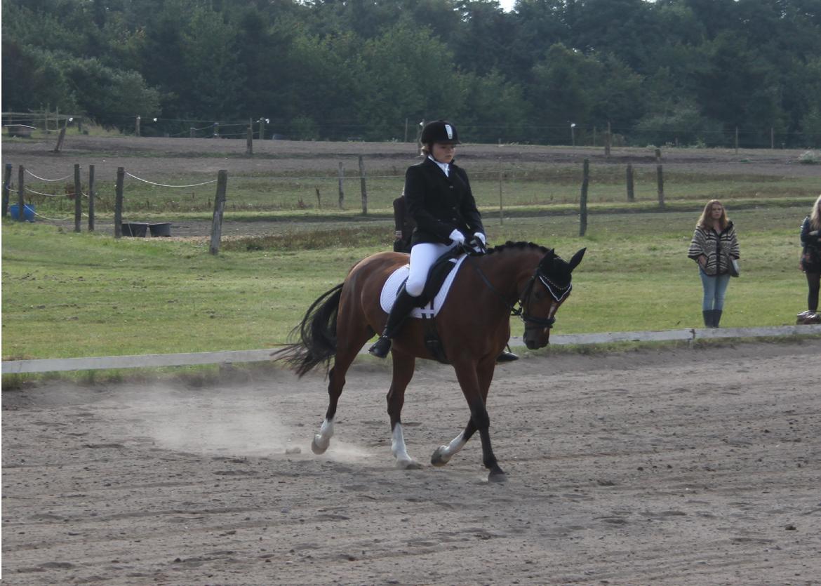 DSP Stald PR's Paula - Paula og mig i opvarmningsklassen som vi vandt:) billede 2