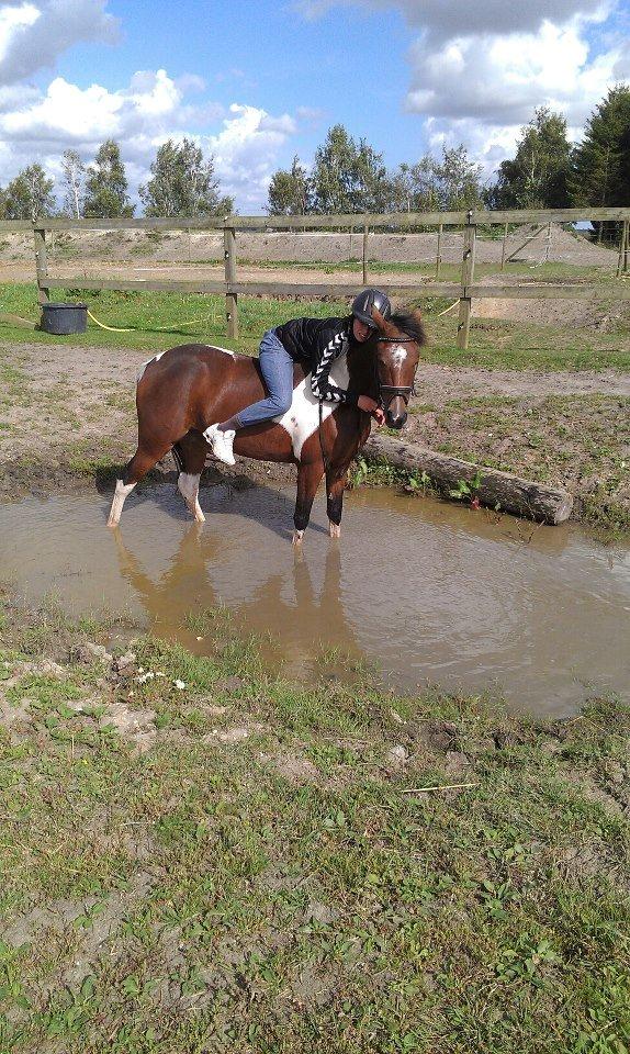 Anden særlig race Amaysing<3 billede 6