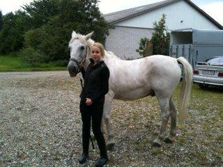 Anden særlig race Mickey billede 4