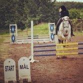 Anden særlig race Mickey - Mickey til hans første springstævne, hvor vi startede LC, vi fik desværre kun en 4 plads billede 6