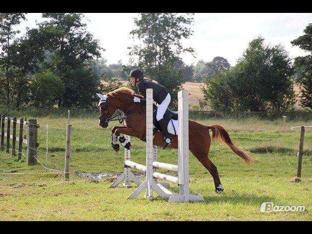 DSP Apollo (Polle fisen) <3 - Klubstævne d. 25/8 2012 i Ladelund rideklub :) billede 6