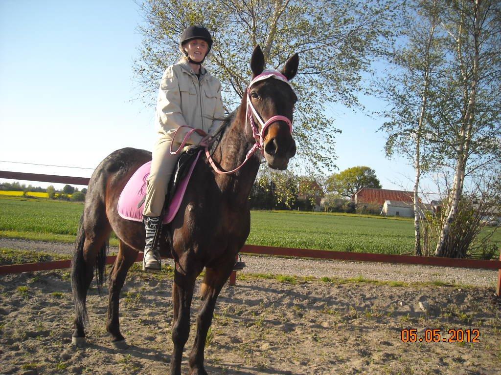 Traver Jettes Pride billede 5