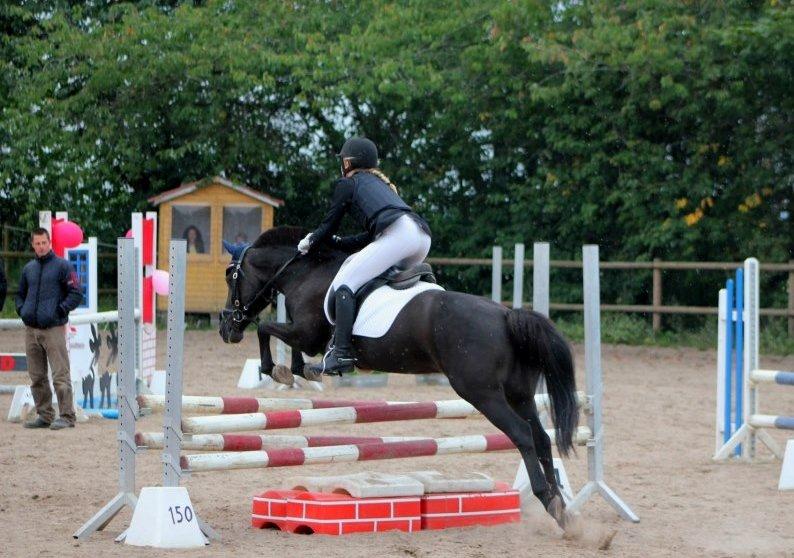 Anden særlig race Malou - Stævne på Fhsr (: Foto: Simone S billede 16