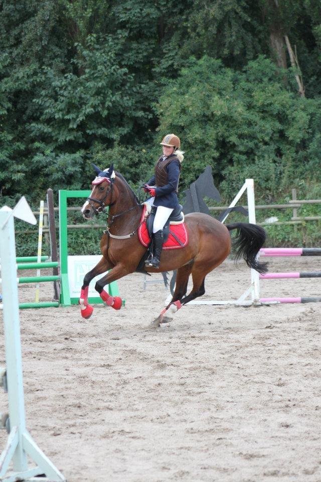 Dansk Varmblod Fantasy  - Juli 2012
Sbgr klubstævne. vi rider æres runde vi vandt en 2 plads i LF. Stolt af hende <3 foto: Mia Barner.  billede 7