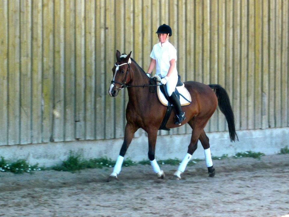 Dansk Varmblod Fantasy  - Juni 2012.
Opvarmnind inden vi skuller ride vores LC1 (: 
vi red til 57,34% STOLT når man tænker på jeg er spring rytter <3
Foto. Josephine billede 21