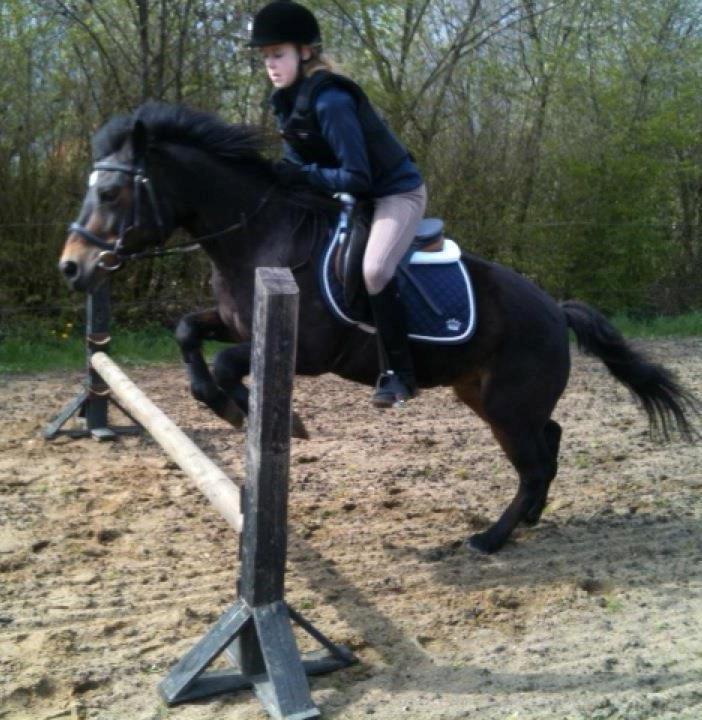 Anden særlig race Tina Turner - Vi springer ikke så højt her,det er fordi hun var til stævne dagen før, og så træner vi ikke så hårdt billede 1