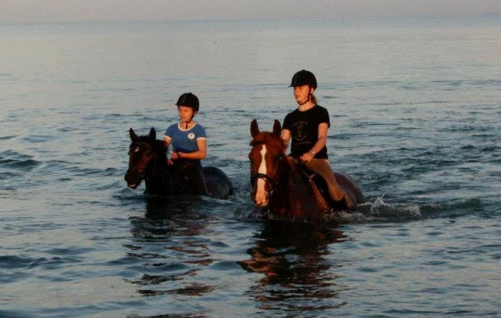 New Forest Dalgaardens Figaro - på ridelejer 2012 :-) billede 7