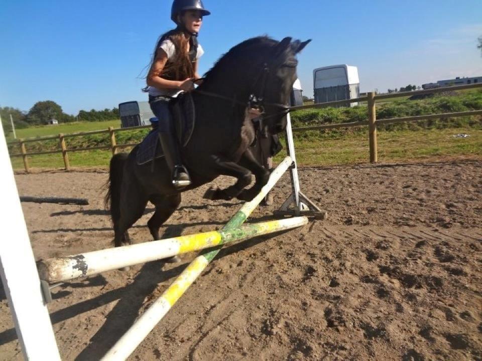 DSP Starhorse Fatima billede 5