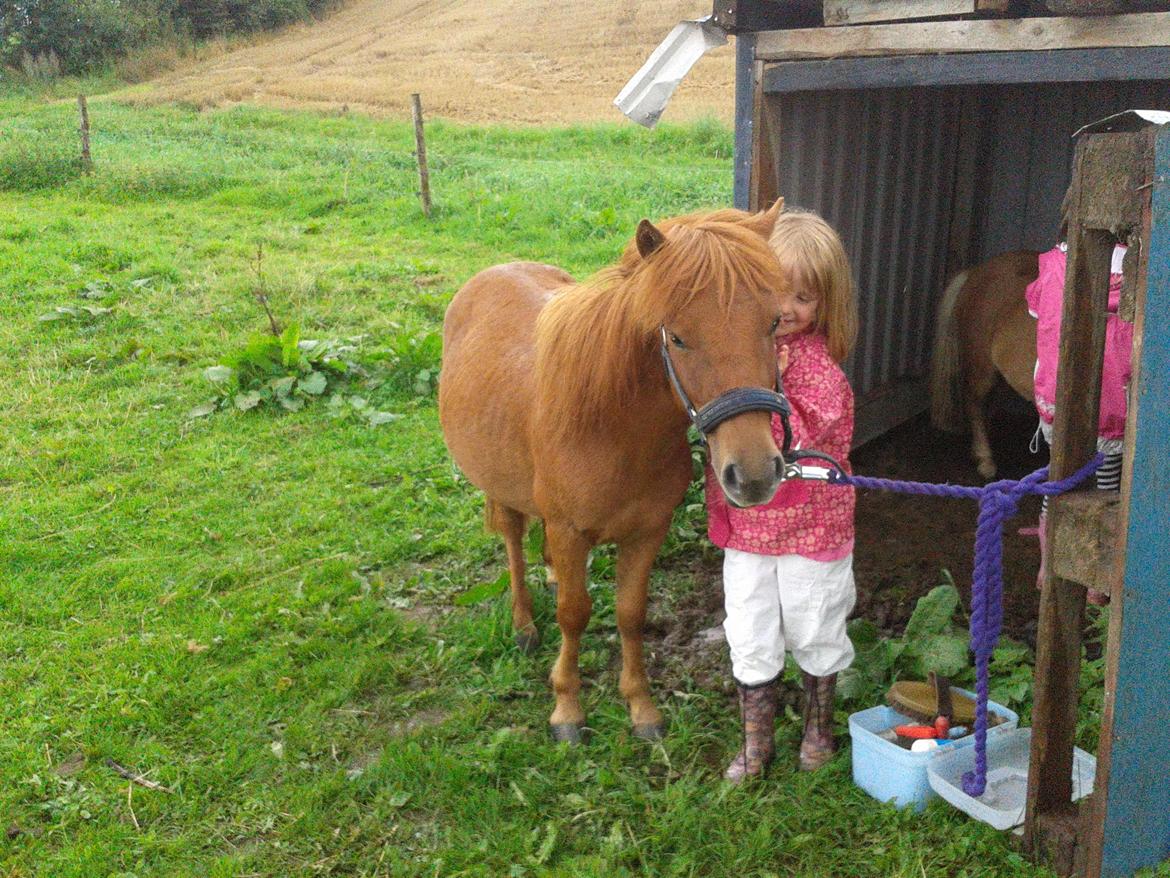 Anden særlig race Dudi † 04.11.13 - Nr. 7 Dudi bliver hygget om af Line! :-* [Foto: Mig] billede 7