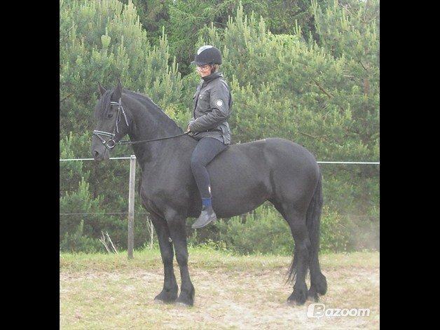 Frieser EFTERLYSES - Quella Von Hasselholt - Jane og Q billede 11