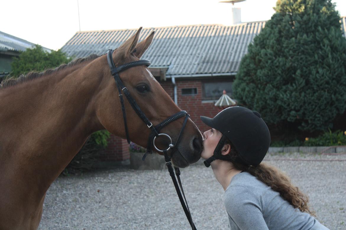 Anden særlig race Bella Bacardi - Jeg elsker dig så ubeskriveligt højt<3 billede 18