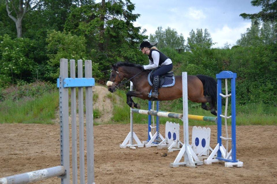 Anden særlig race Håkon - Håkon og Emma til træning ved Christian P. billede 17