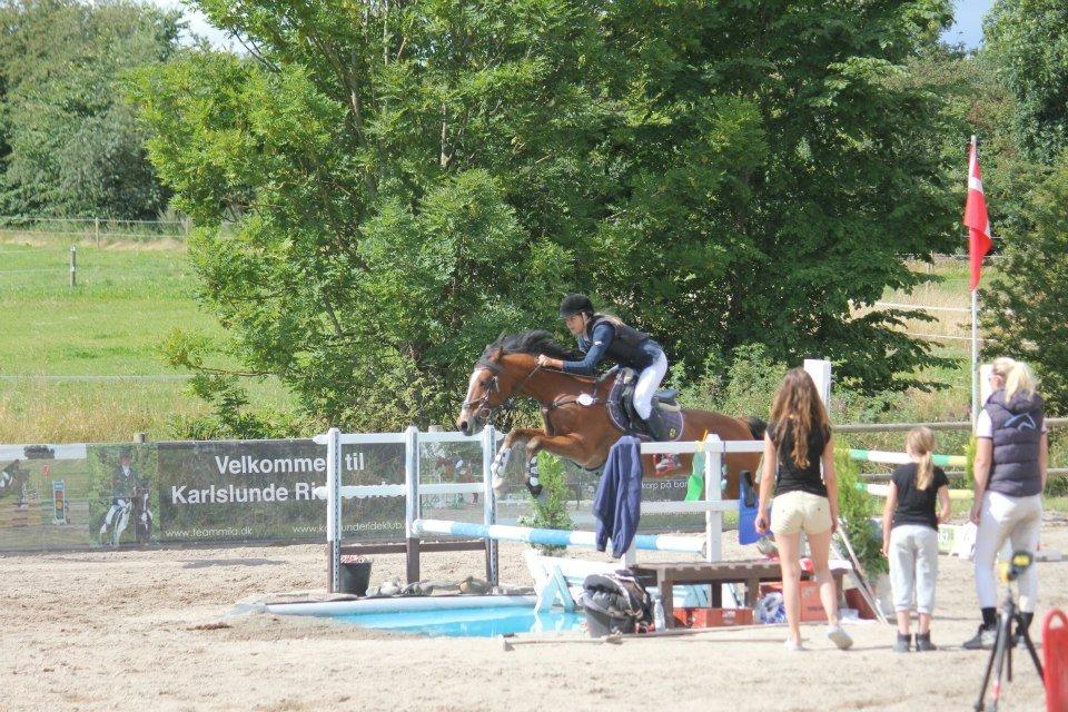 Anden særlig race Ferrari - Sejeste Mul over stor vand!<3 billede 18