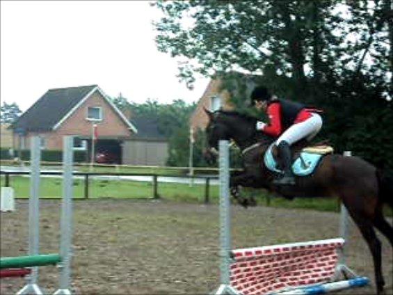 Anden særlig race Lundgaards Mulan SOLGT - Lano i LD spring :-) billede 10