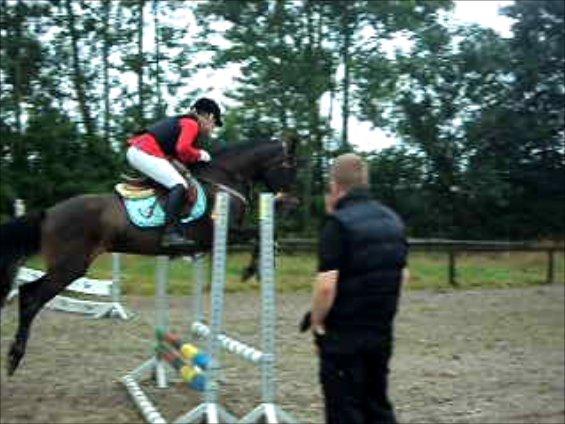 Anden særlig race Lundgaards Mulan SOLGT - Lano i LD spring :-) billede 11