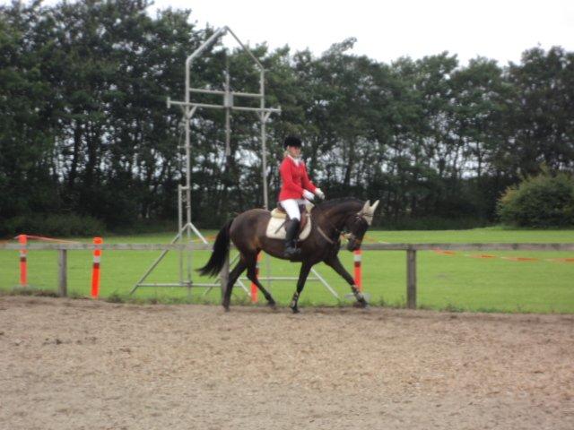 Anden særlig race Lundgaards Mulan SOLGT - Opvarmning til stævnedebut :D billede 14