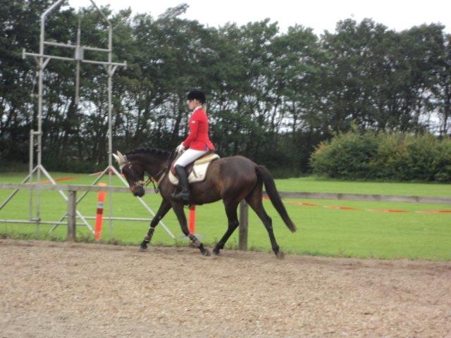 Anden særlig race Lundgaards Mulan SOLGT - Opvarmning til stævnedebut :D billede 15