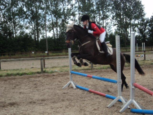 Anden særlig race Lundgaards Mulan SOLGT - Opvarmning til stævnedebut  - hoooopla :D billede 12