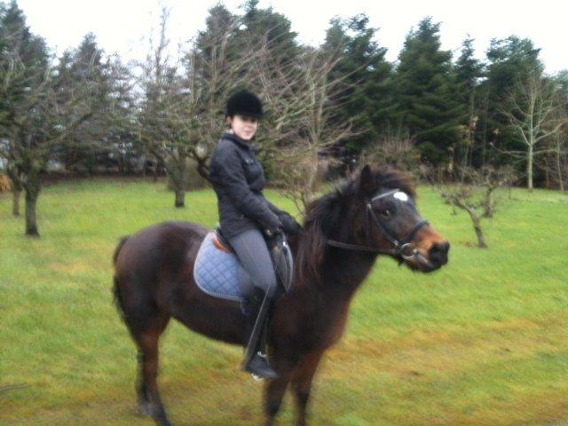 Anden særlig race Tina Turner billede 5