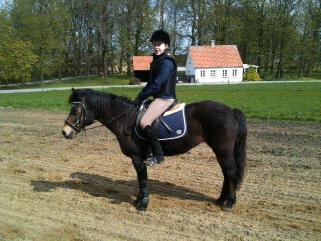 Anden særlig race Tina Turner billede 3