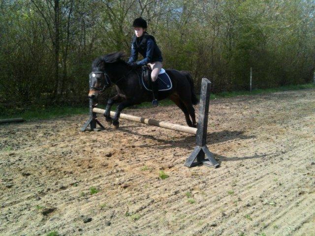 Anden særlig race Tina Turner billede 2