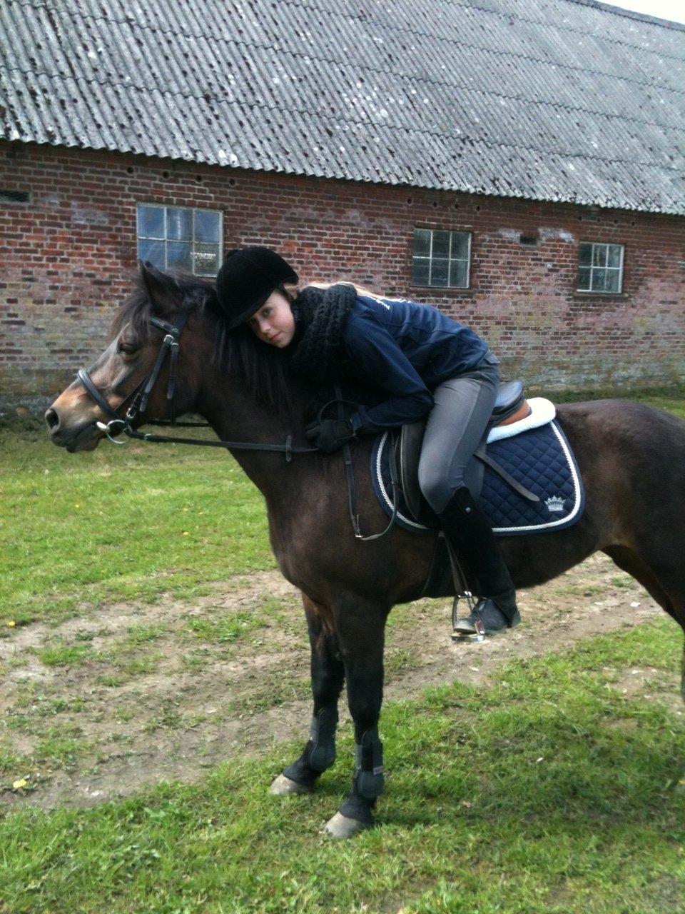 Anden særlig race Tina Turner billede 4