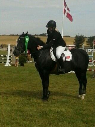 New Forest HAMBORGS EXPRESS - 2012.  billede 13