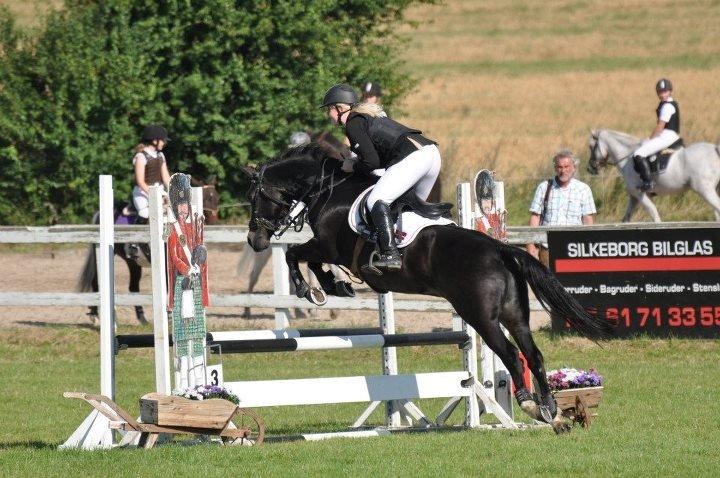 New Forest HAMBORGS EXPRESS - 2012. billede 14