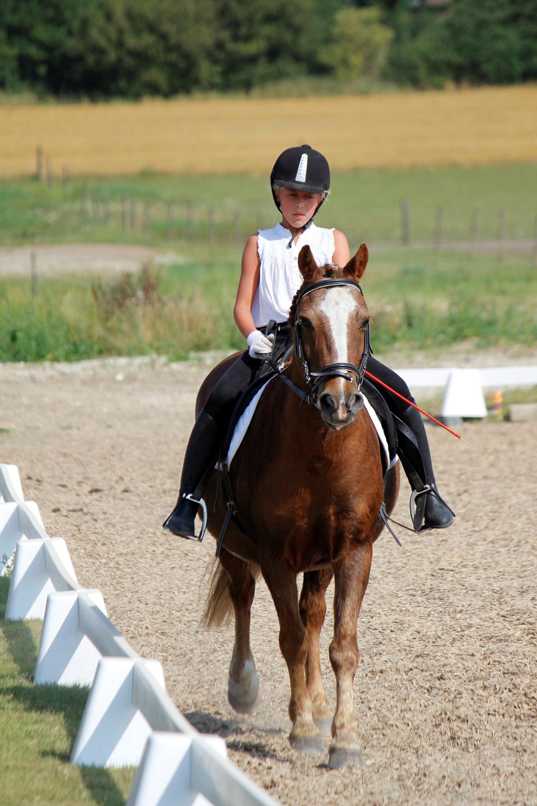 Anden særlig race Tim. <3(red :-'( ) - Stævne 2012

(Foto: Emil) billede 9