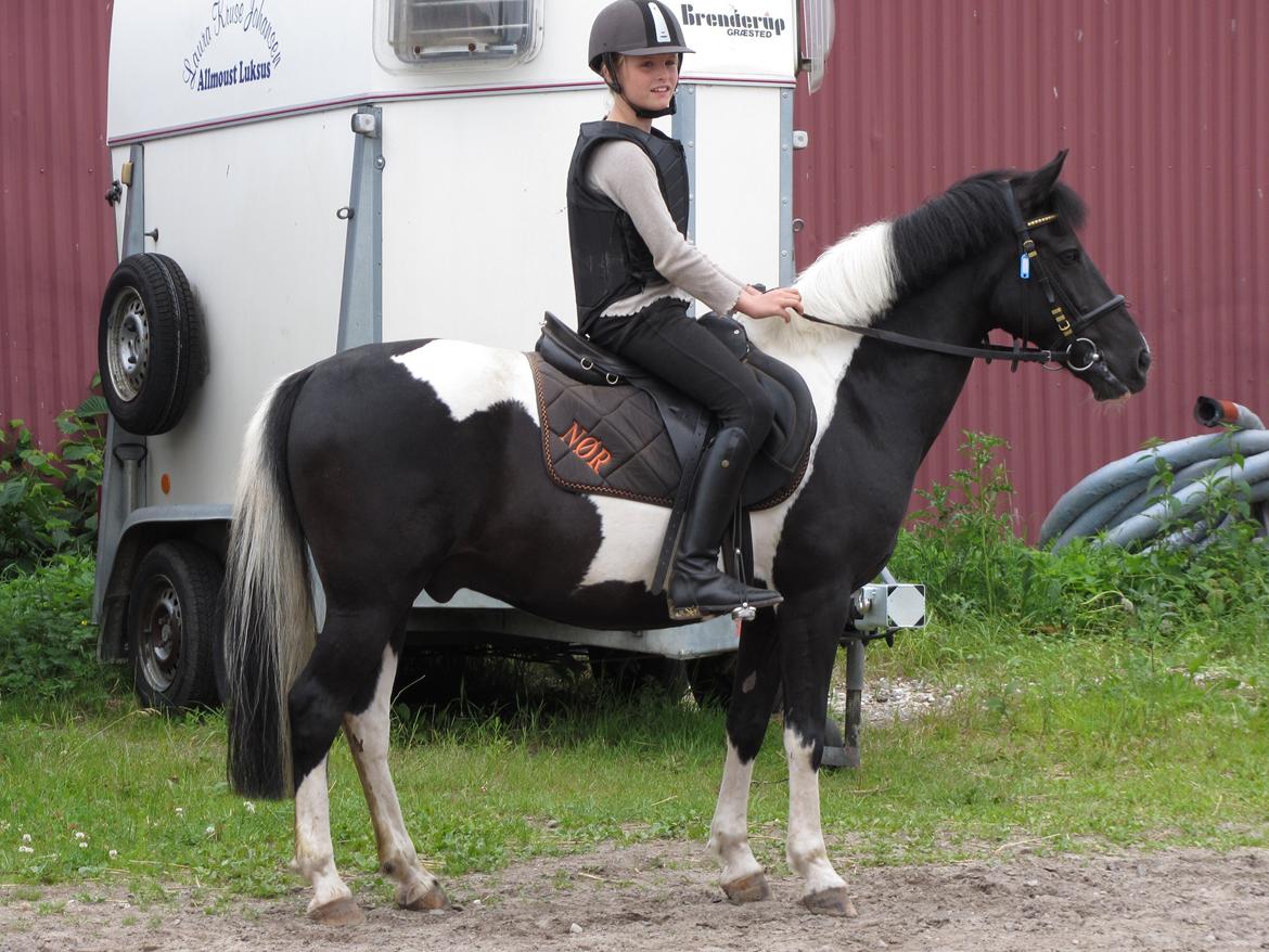 Pinto Sipke<3<3 billede 1