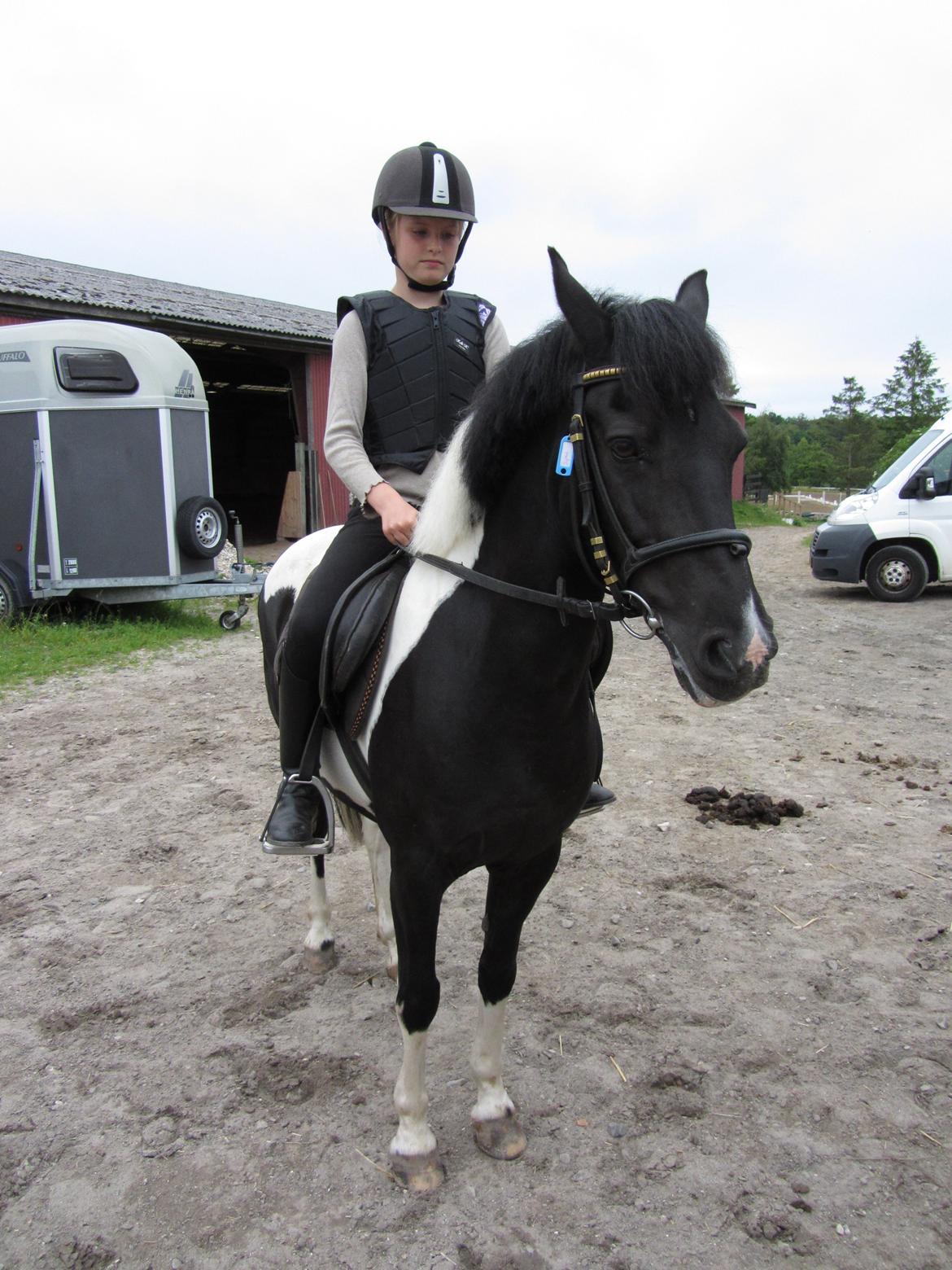 Pinto Sipke<3<3 billede 2