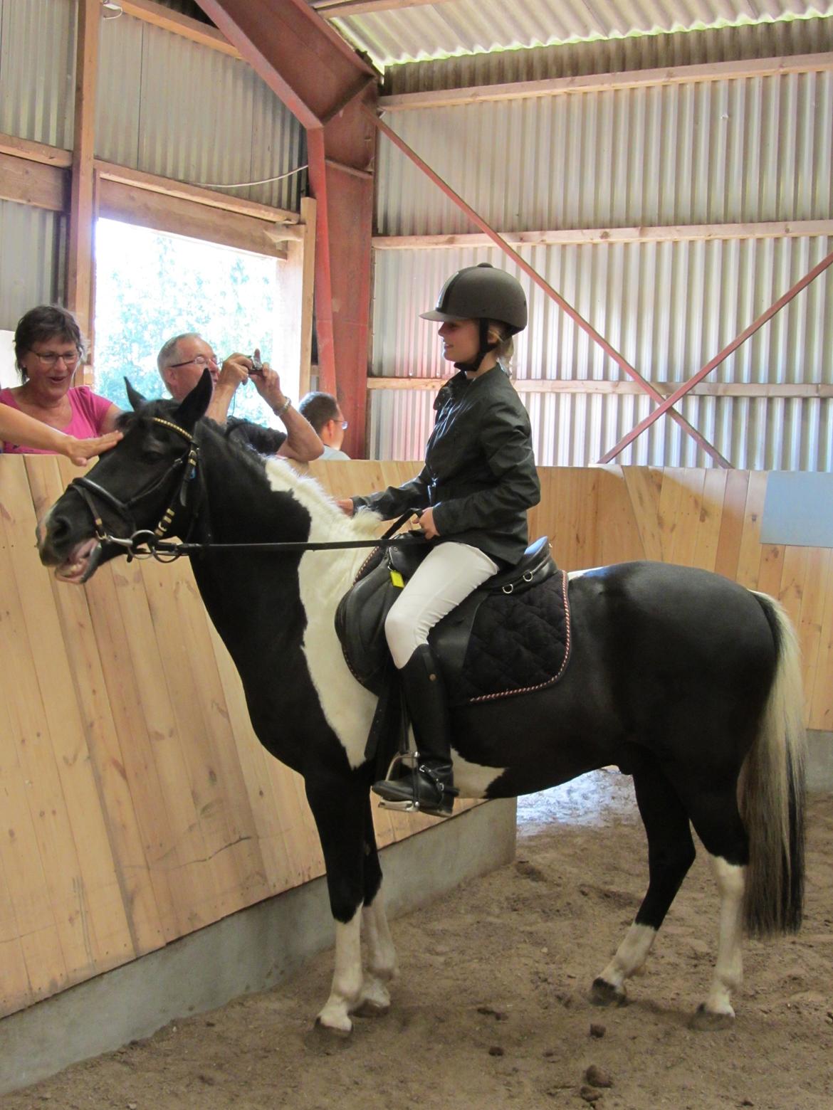 Pinto Sipke<3<3 billede 3