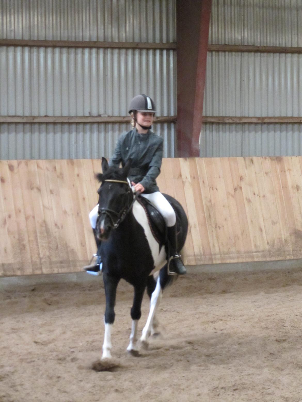 Pinto Sipke<3<3 billede 4