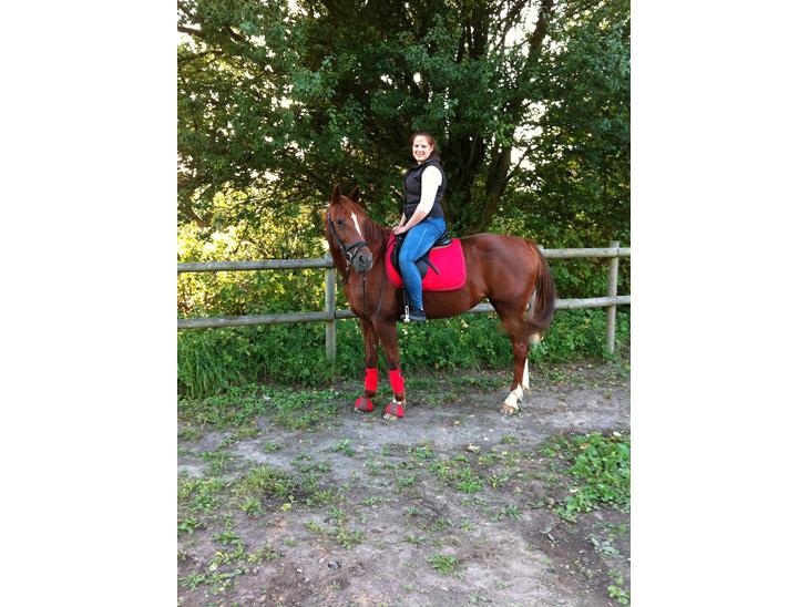 {{currentPhoto.altText}} billede {{currentPhoto.number}}