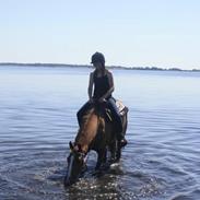 Paint I'am Snowys Easy Boy