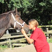 New Forest Polly