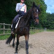 Anden særlig race No Sonic