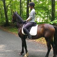 Anden særlig race No Sonic