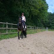 Anden særlig race No Sonic